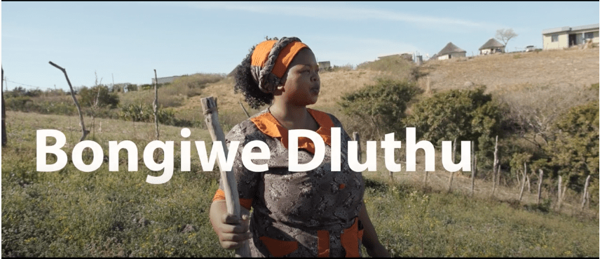 Bongiwe Dluthu